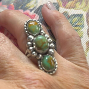 Sonoran Split Band Ring - Size 8